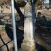 Ann Whitney Photo 37