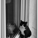Bruce Kater Photo 21