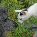 Darla White Photo 44