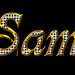 Sam Diamond Photo 40