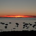 Gloria Iles Photo 12