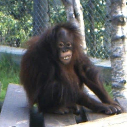 Samuel Drew Photo 12