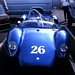 Shelby Cooper Photo 43