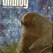 Herbert Chao Photo 23