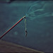 Renee Burns Photo 45