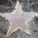 Karen Cantor Photo 39