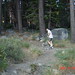 James Dauber Photo 19