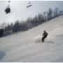 Jason Whyte Photo 29