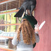 Kent Crow Photo 16