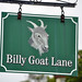 Billy Lane Photo 44