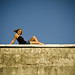 Nadine Wall Photo 27