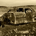 Wayne Stetson Photo 12