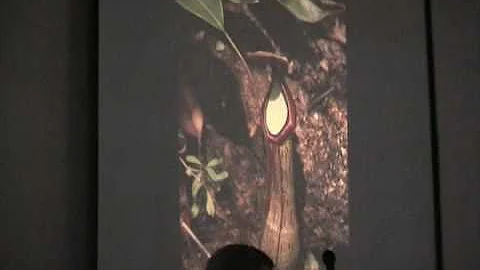 Robert Hartmeyer Photo 3