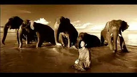Gregory Colbert Photo 33