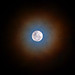 Lawrence Ring Photo 9