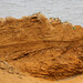 Sandy Walton Photo 38