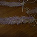Doris Craft Photo 22