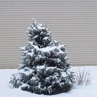 Debbie Shelton Photo 7