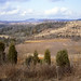 Virginia Lester Photo 29
