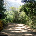 Jan Chang Photo 34