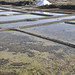 Thomas Saltz Photo 20