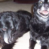 Ann Olmstead Photo 4