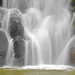 Justin Ripple Photo 20