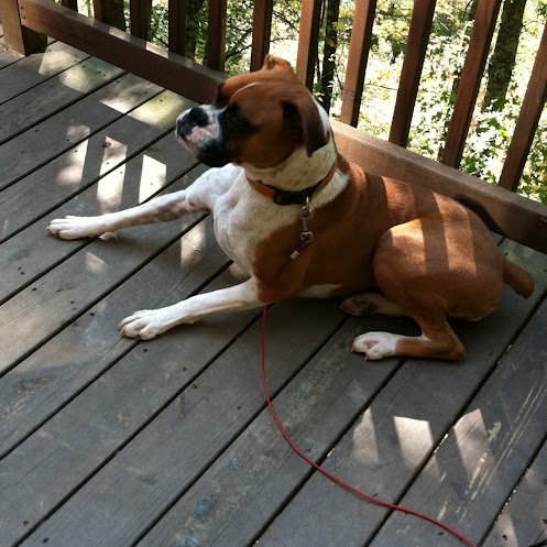 Carolyn Compton Photo 12