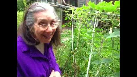 Lillian Rubin Photo 10