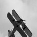 Peggy Wing Photo 14