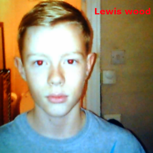 Lewis Wood Photo 13