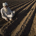 Nirmal Sharma Photo 44