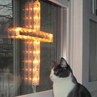 Donna Dipietro Photo 3