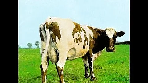Summer Floyd Photo 27