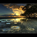 Steven Ripple Photo 23