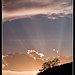 Ray Goldstein Photo 15