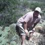Michael Bradfield Photo 23