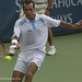 Paul Stepanek Photo 17