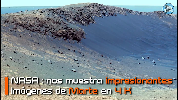 Tomas Marte Photo 10