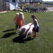 Megan Schuster Photo 32