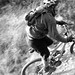 Jason Whyte Photo 40