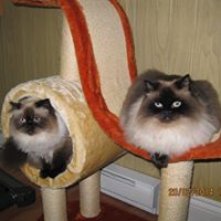 Linda Matte Photo 7