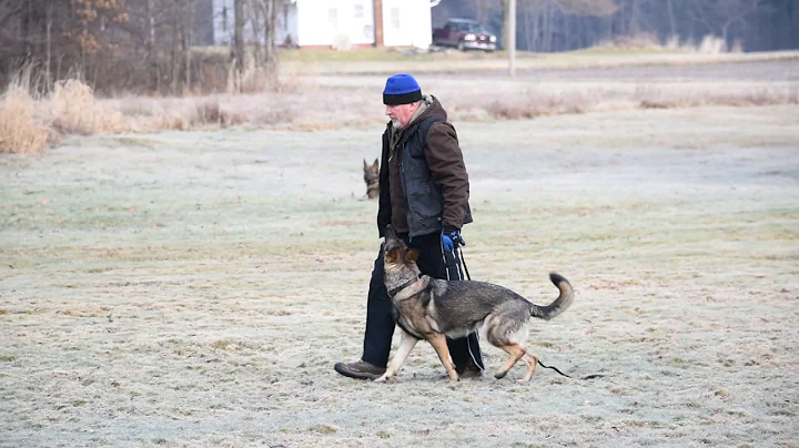 Kevin Seidl Photo 21