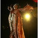 Sandra Gard Photo 26