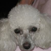 Delois Brown Photo 3