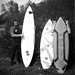 Del Miller Photo 42