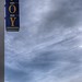 Joy Proctor Photo 30