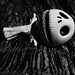 Lenore Henry Photo 19