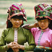 Viet Thai Photo 37