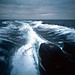 John Plata Photo 27